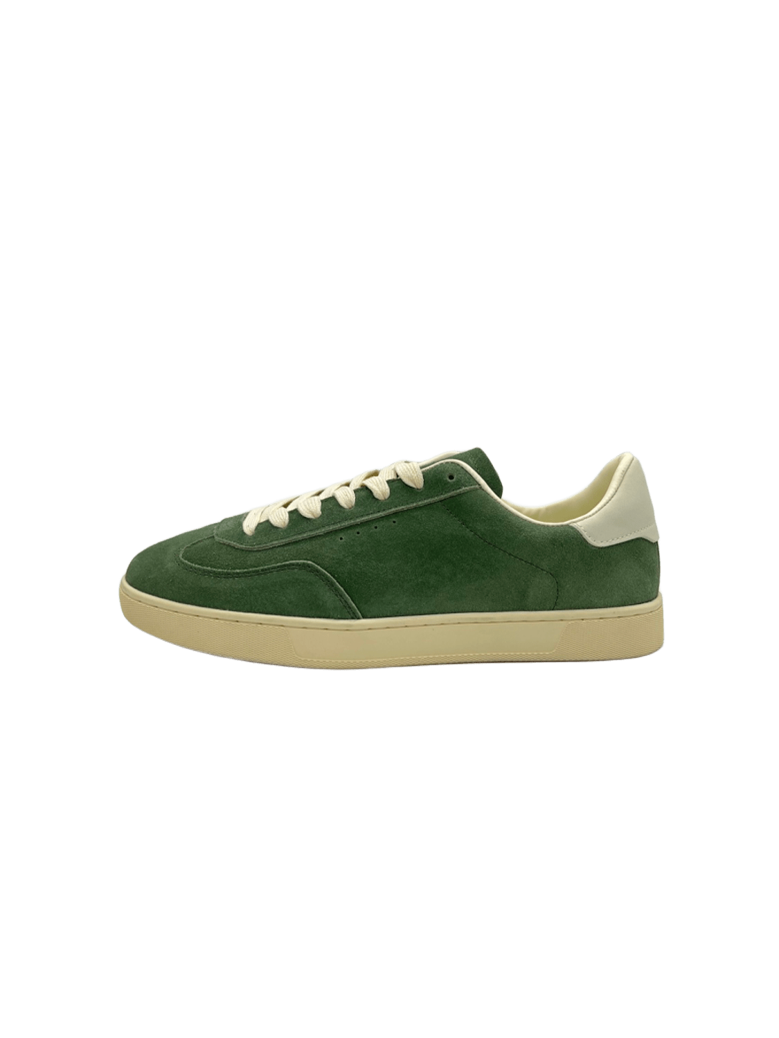 Samba  IN OLIVE