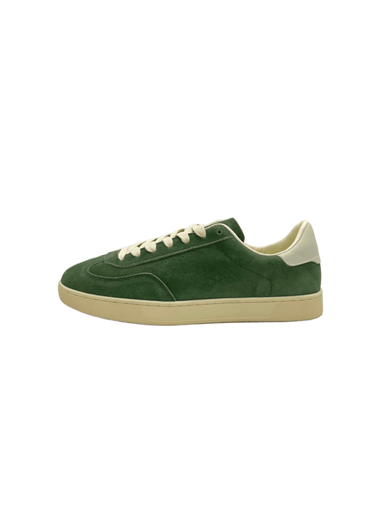 Samba  IN OLIVE
