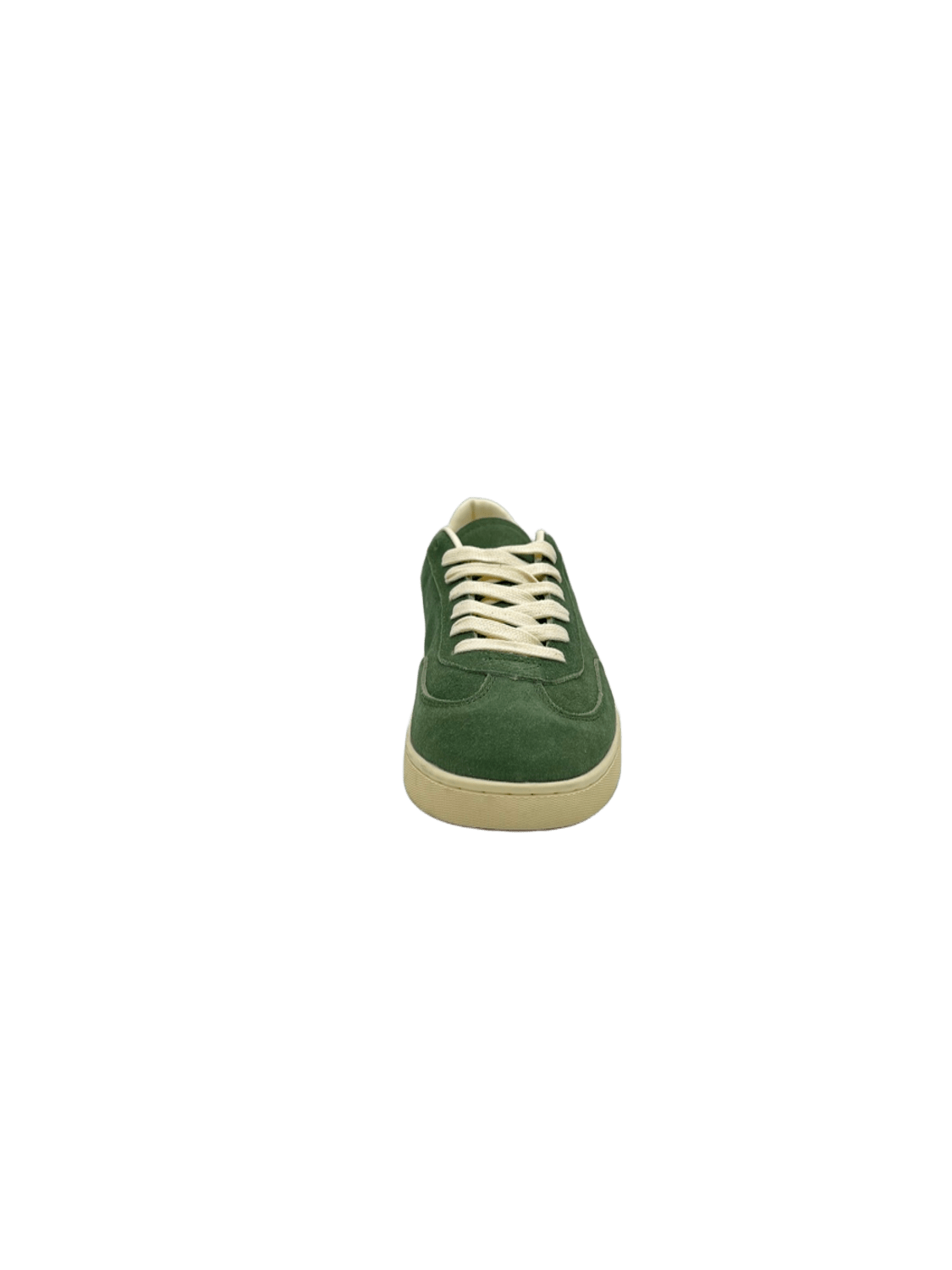 Samba  IN OLIVE