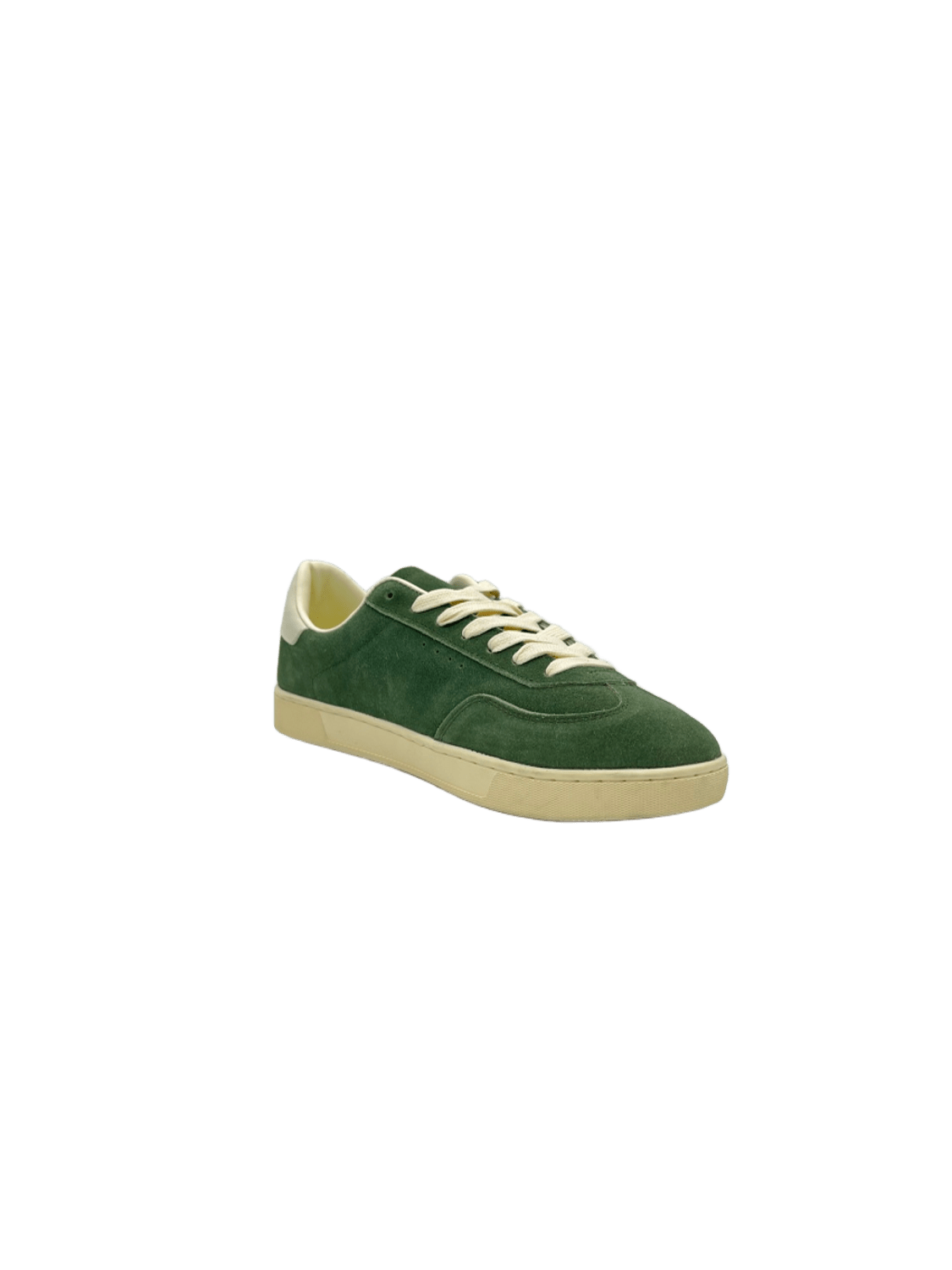 Samba  IN OLIVE