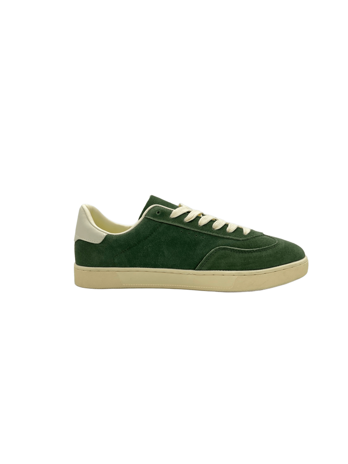 Samba  IN OLIVE