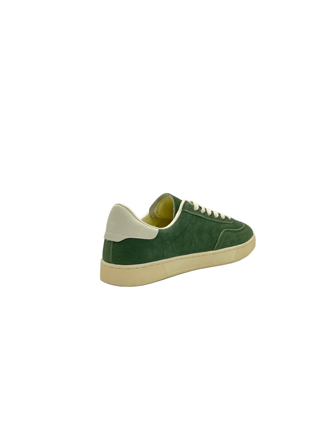 Samba  IN OLIVE